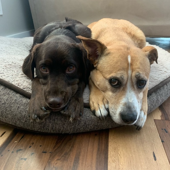 Meet your Posher, Jess - Picture 4 of 5